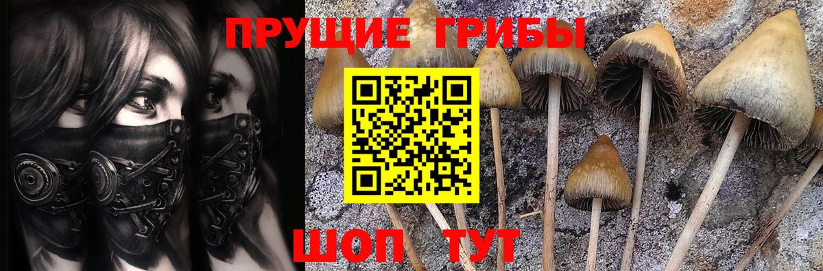Балахна  Псилоцибиновые грибы Magic Shrooms  Вход с VPN  Галлюциногенные грибы ЛСД 
