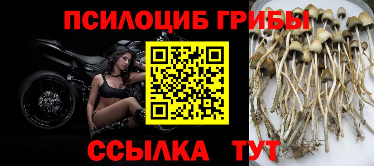 Галлюциногенные грибы GOLDEN TEACHER Балахна